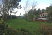 Semi-Detached House, 5 bedrooms, Freehold
