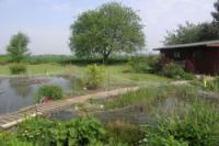 Bungalow, 4 bedrooms, Freehold