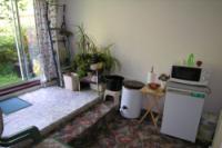 Semi-Detached House, 3 bedrooms, Freehold