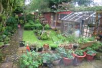 Semi-Detached House, 3 bedrooms, Freehold
