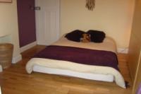 Bungalow, 2 bedrooms, Freehold