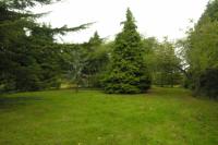 Detached House, 4 bedrooms, Freehold