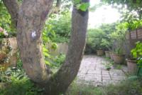 Semi-Detached House, 4 bedrooms, Freehold