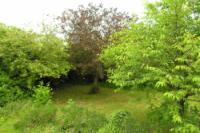 Bungalow, 3 bedrooms, Freehold