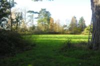 Cottage, 3 bedrooms, Freehold