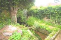 Mid-Terrace House, 4 bedrooms, Freehold