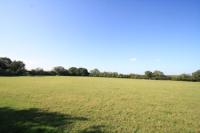 Detached House, 4 bedrooms, Freehold