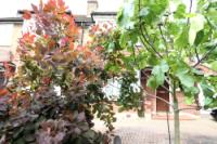 Semi-Detached House, 3 bedrooms, Freehold