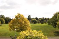 Semi-Detached House, 3 bedrooms, Freehold