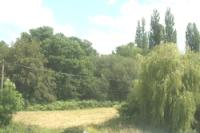 Semi-Detached House, 4 bedrooms, Freehold
