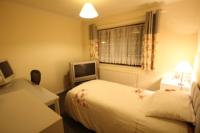 Semi-Detached House, 4 bedrooms, Freehold