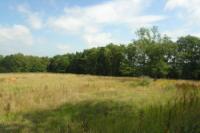 Detached House, 3 bedrooms, Freehold