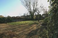 Detached House, 5 bedrooms, Freehold