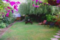 Semi-Detached House, 4 bedrooms, Freehold