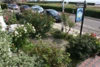 Mid-Terrace House, 6 bedrooms, Freehold