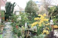 Detached House, 3 bedrooms, Freehold