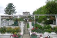 Semi-Detached House, 3 bedrooms, Freehold