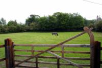 Detached House, 4 bedrooms, Freehold