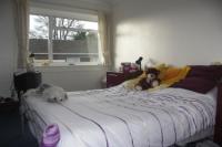Bungalow, 3 bedrooms, Freehold