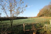 Semi-Detached House, 3 bedrooms, Freehold
