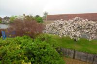 Semi-Detached House, 4 bedrooms, Freehold