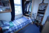 Semi-Detached House, 4 bedrooms, Freehold