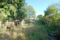 Semi-Detached House, 6 bedrooms, Freehold