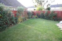 Semi-Detached House, 4 bedrooms, Freehold