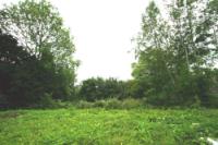 Mid-Terrace House, 2 bedrooms, Freehold