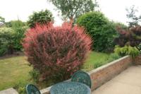 Bungalow, 3 bedrooms, Freehold