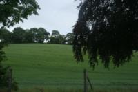 Detached House, 4 bedrooms, Freehold