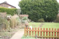Semi-Detached House, 3 bedrooms, Freehold