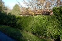 Detached House, 4 bedrooms, Freehold