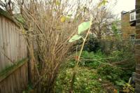 Mid-Terrace House, 2 bedrooms, Freehold