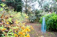 Mid-Terrace House, 3 bedrooms, Freehold