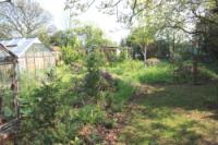 Bungalow, 3 bedrooms, Freehold