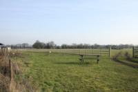 Detached House, 5 bedrooms, Freehold