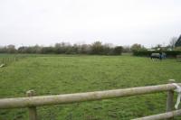 Bungalow, 3 bedrooms, Freehold