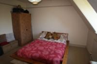 Semi-Detached House, 3 bedrooms, Freehold