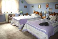 Detached House, 3 bedrooms, Freehold