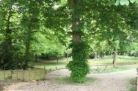 Detached House, 6 bedrooms, Freehold