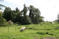 Farmhouse, 4 bedrooms, Freehold