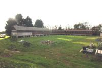 Land, 100 bedrooms, 