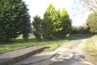 Land, 100 bedrooms, 