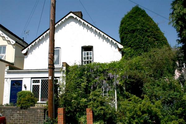 Semi-Detached House, 4 bedrooms, Freehold