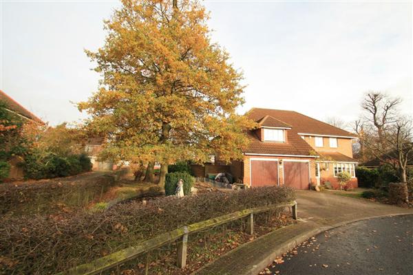 Detached House, 5 bedrooms, Freehold
