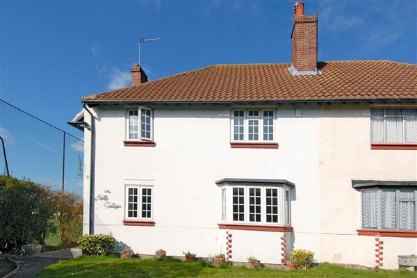 Semi-Detached House, 3 bedrooms, Freehold