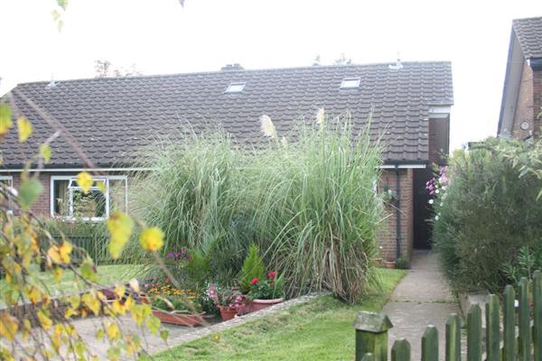Bungalow, 4 bedrooms, Freehold