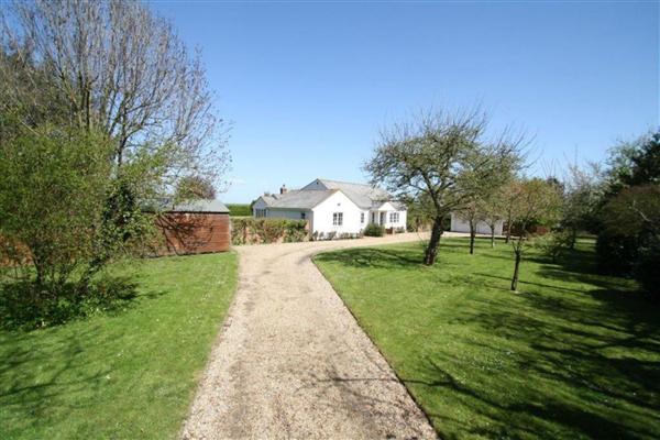Mersea Island , Essex